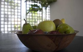 Mango Mansion Hostel